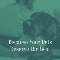 Seneca Hill Animal Hospital Resort & Spa ico