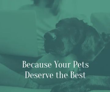 Seneca Hill Animal Hospital Resort & Spa