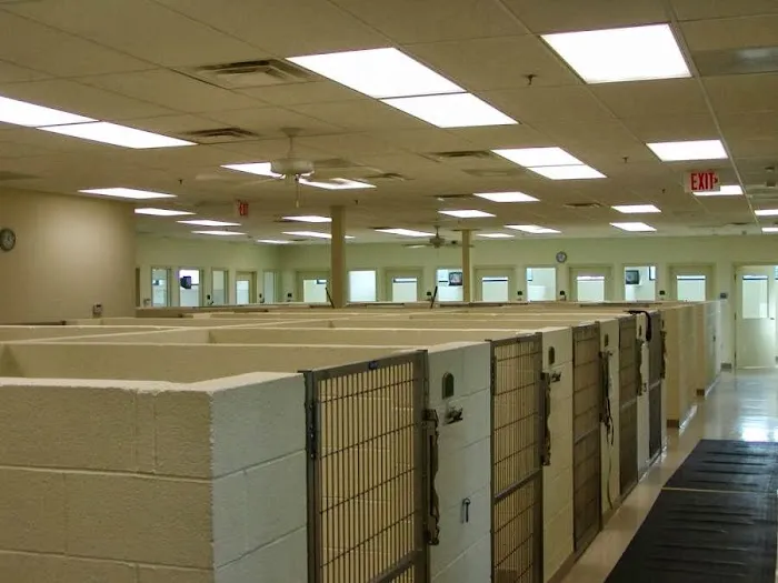 Seneca Hill Animal Hospital Resort & Spa 3