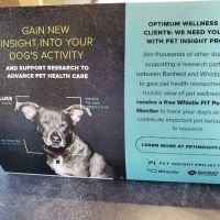 Banfield Pet Hospital ico