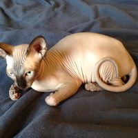 Sphynx Clubhouse ico