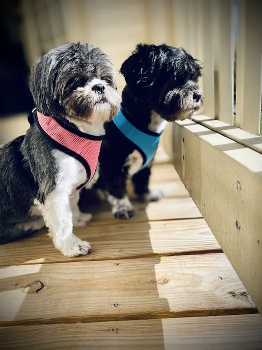 Tango Animal Hospital 12