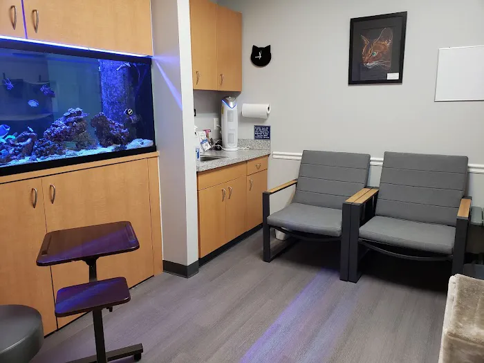 Well Whiskers: Veterinary Holistic Care 6