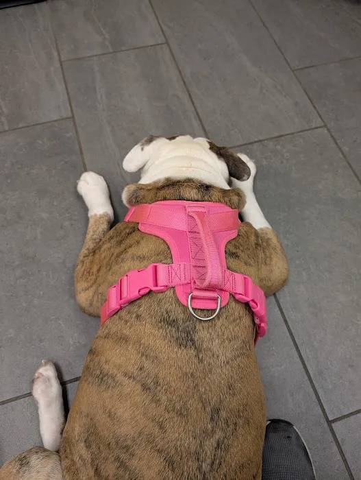 Banfield Pet Hospital 12