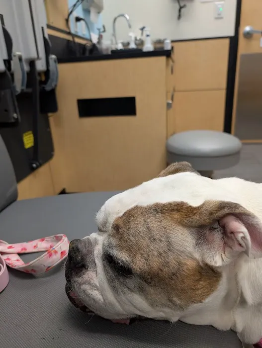 Banfield Pet Hospital 12