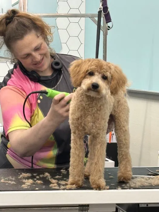 Vetco Vaccination Clinic 1