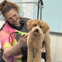 Vetco Vaccination Clinic ico