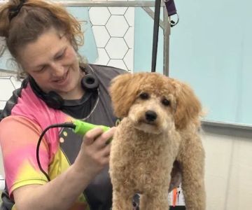 Vetco Vaccination Clinic