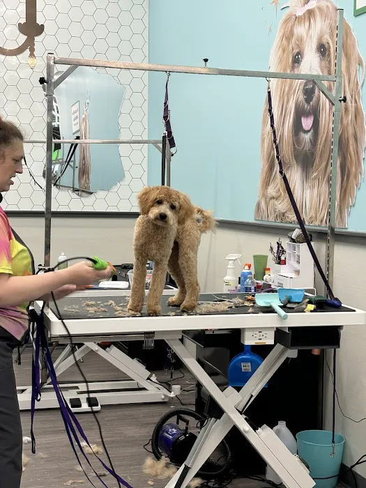 Vetco Vaccination Clinic 3
