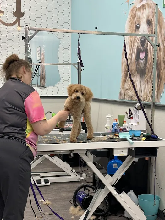 Vetco Vaccination Clinic 2