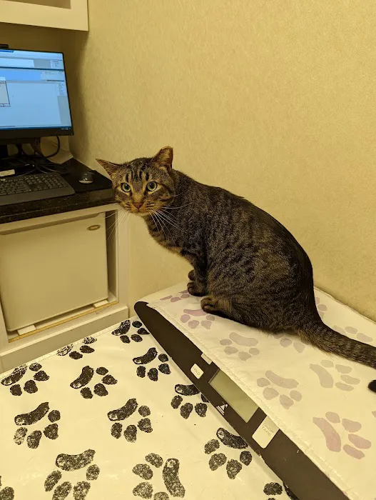 Pender Veterinary Centre - Manassas 1
