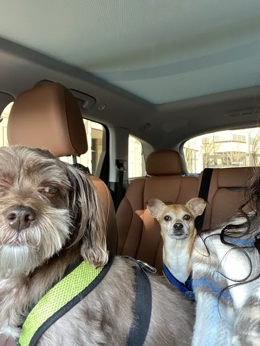 Pender Veterinary Centre - Manassas 8