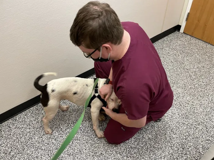 Pender Veterinary Centre - Manassas 9