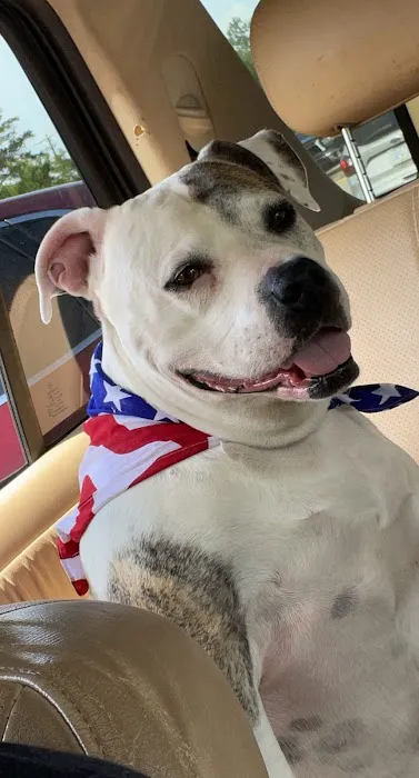 Pender Veterinary Centre - Manassas 5