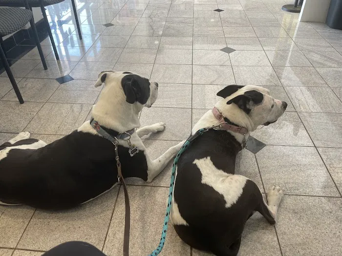 Pender Veterinary Centre - Manassas 4
