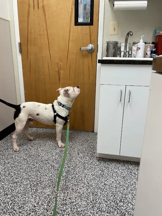 Pender Veterinary Centre - Manassas 7