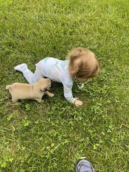 Pender Veterinary Centre - Manassas 10