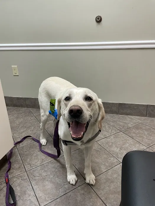 Signal Hill Animal Clinic 9