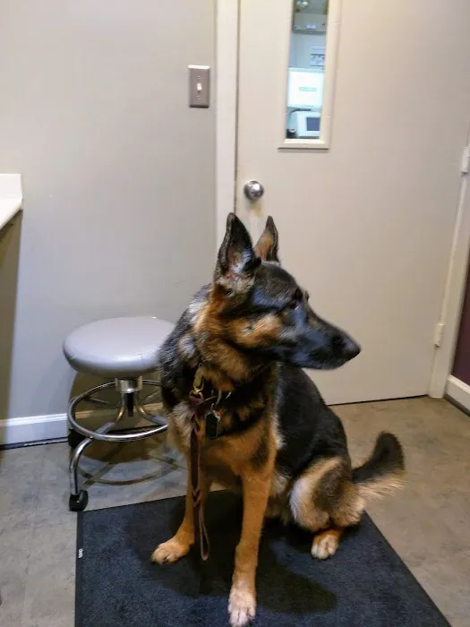 PetCentre Animal Hospital 6