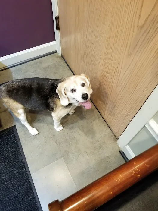 PetCentre Animal Hospital 1