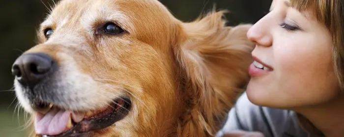 PetCentre Animal Hospital 10