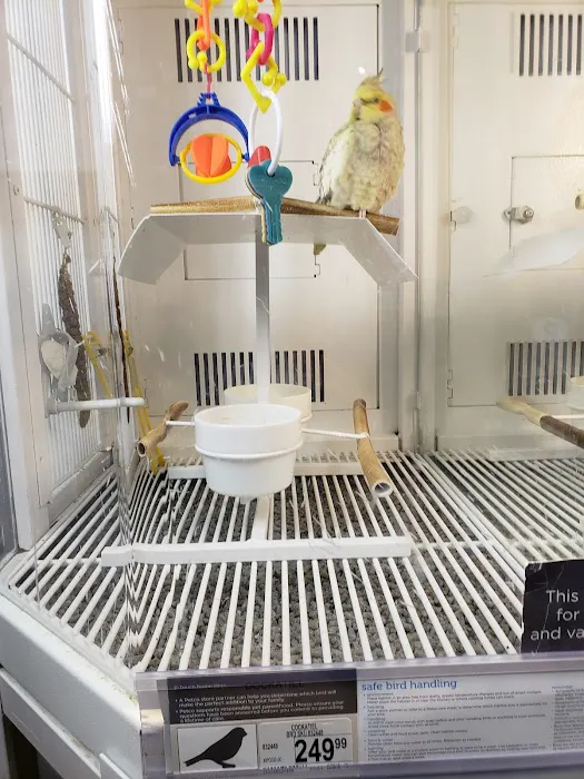 Vetco Vaccination Clinic 2