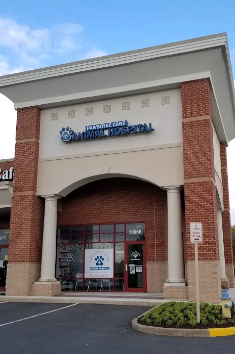 Pawsitive Care Animal Hospital 12