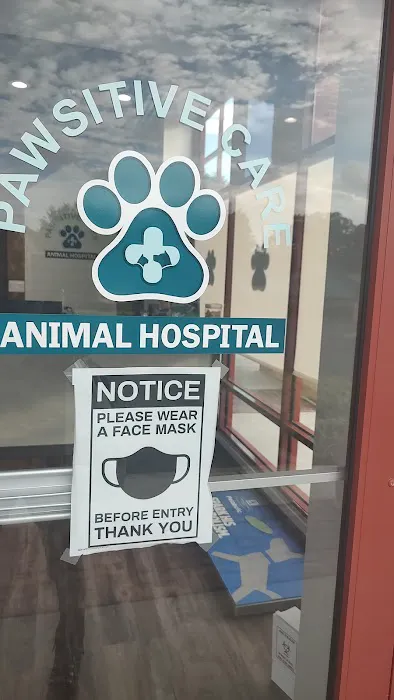 Pawsitive Care Animal Hospital 12