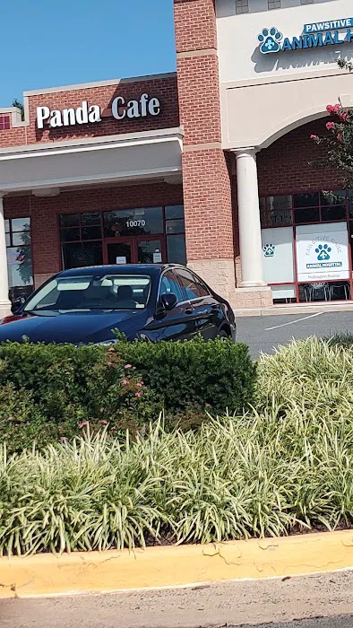 Pawsitive Care Animal Hospital 12