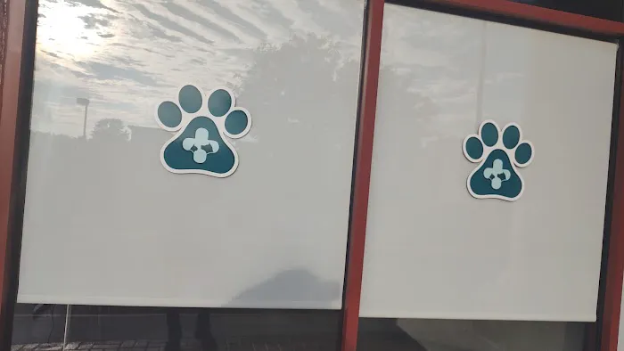 Pawsitive Care Animal Hospital 12