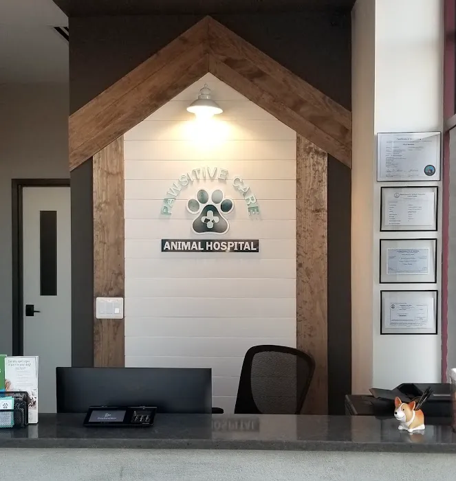 Pawsitive Care Animal Hospital 12