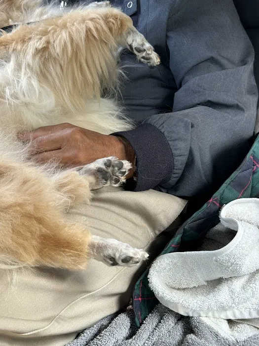 Norbeck Animal Clinic 7