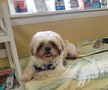 Norbeck Animal Clinic