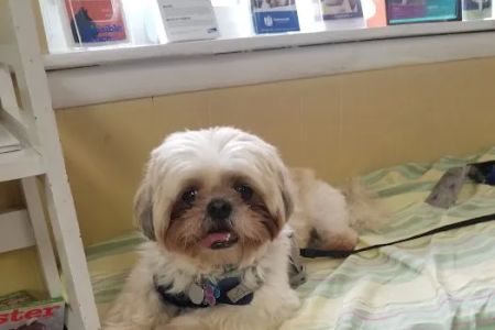 Norbeck Animal Clinic