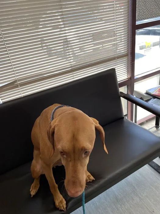 Gaithersburg Animal Hospital 12