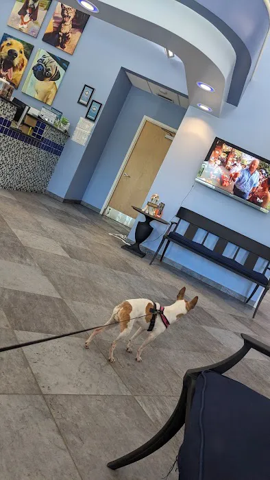 Gaithersburg Animal Hospital 12