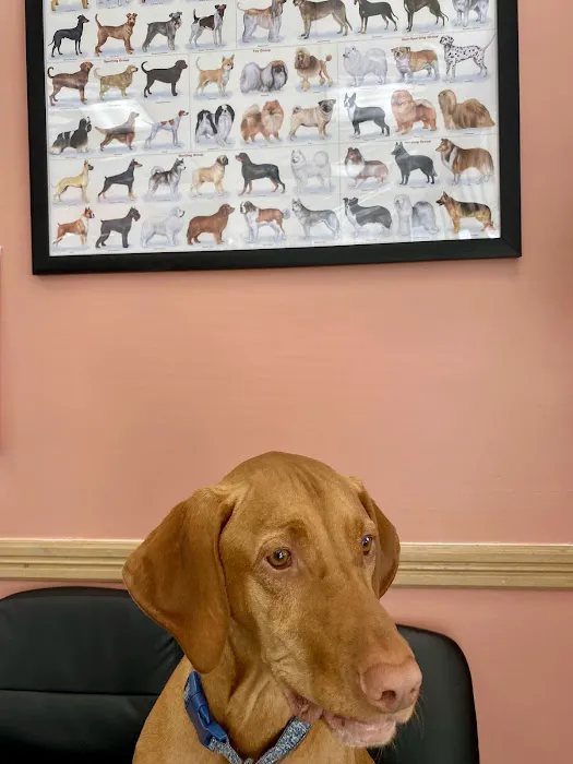 Gaithersburg Animal Hospital 12