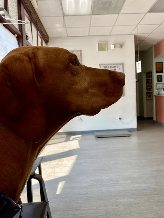 Gaithersburg Animal Hospital 12