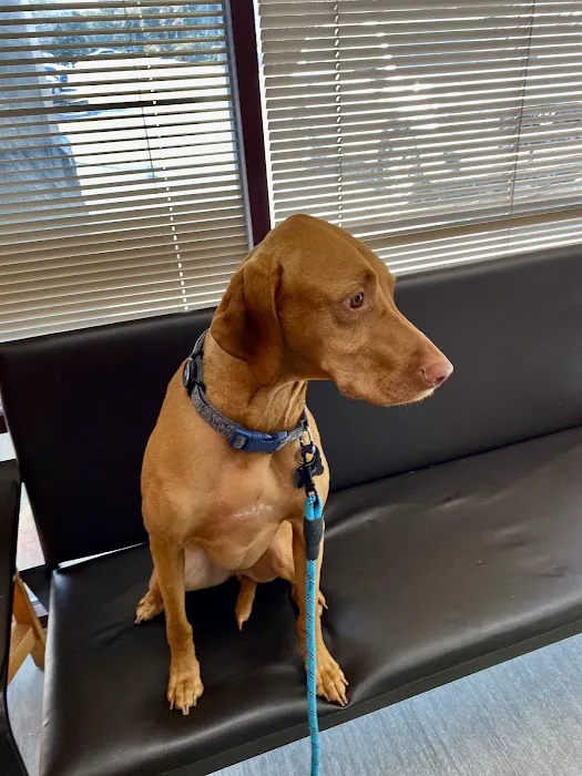 Gaithersburg Animal Hospital 12