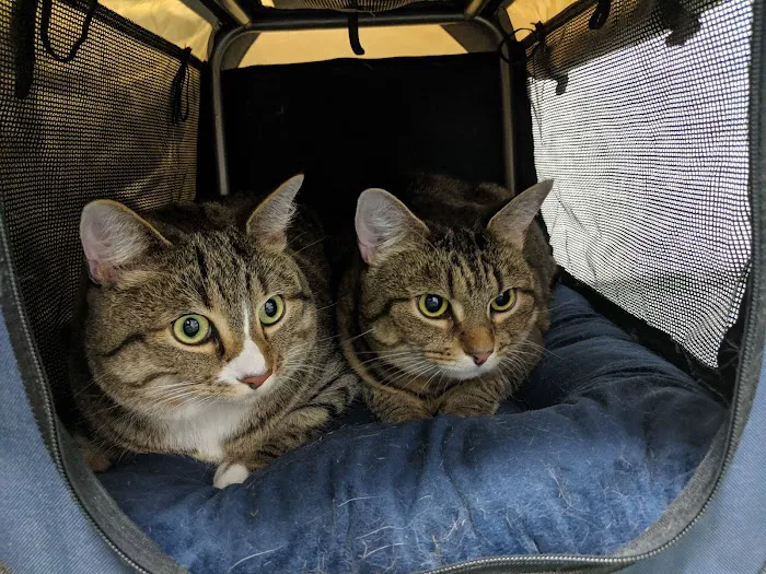 Gaithersburg Veterinary Clinic 5
