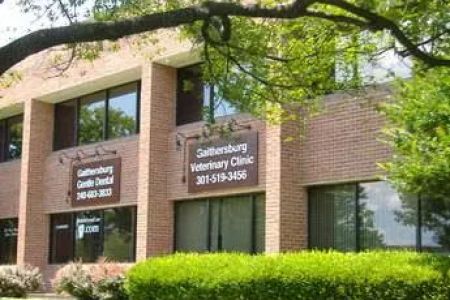 Gaithersburg Veterinary Clinic