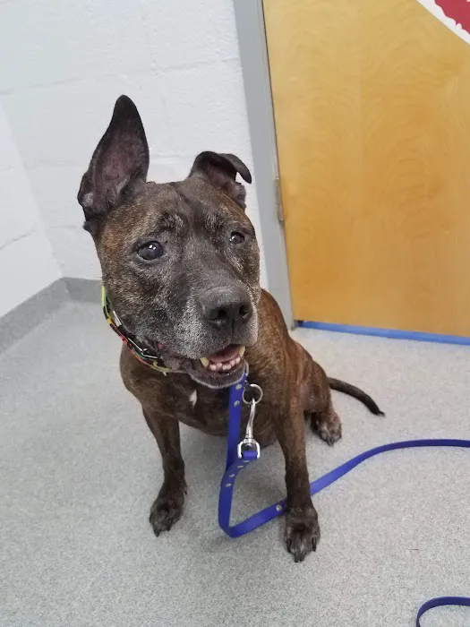 Lake Forest Animal Hospital 1