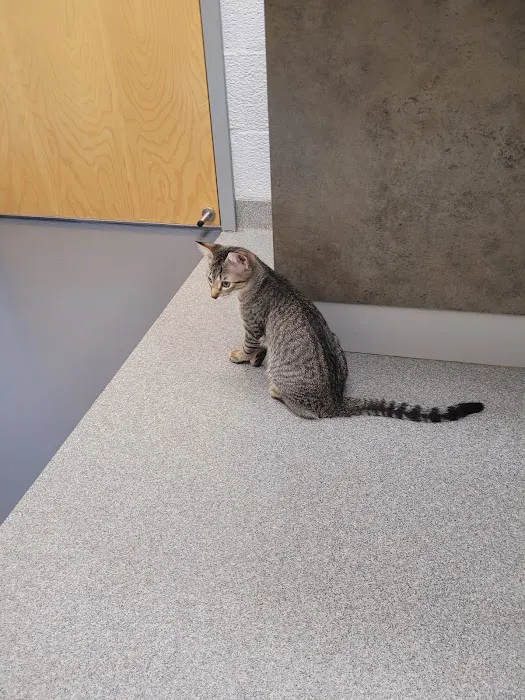 Lake Forest Animal Hospital 6