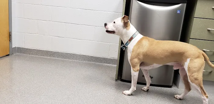 Lake Forest Animal Hospital 3