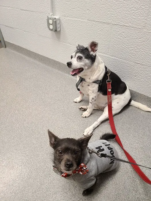 Lake Forest Animal Hospital 4