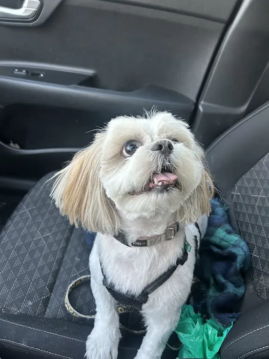 Lake Forest Animal Hospital 2