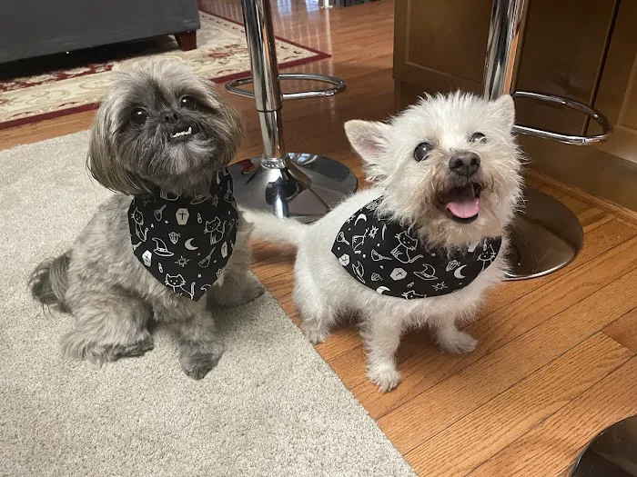 Lake Forest Animal Hospital 9