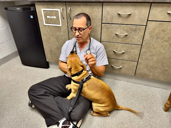 Lake Forest Animal Hospital 8