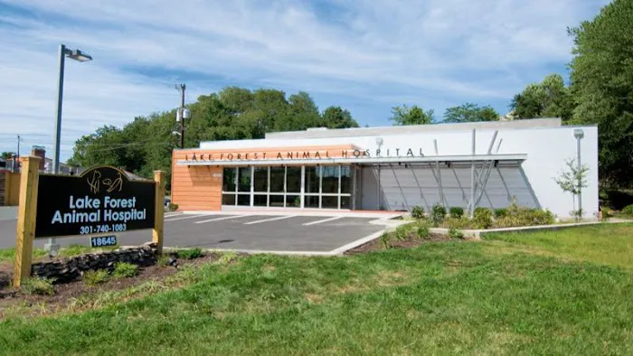 Lake Forest Animal Hospital 7