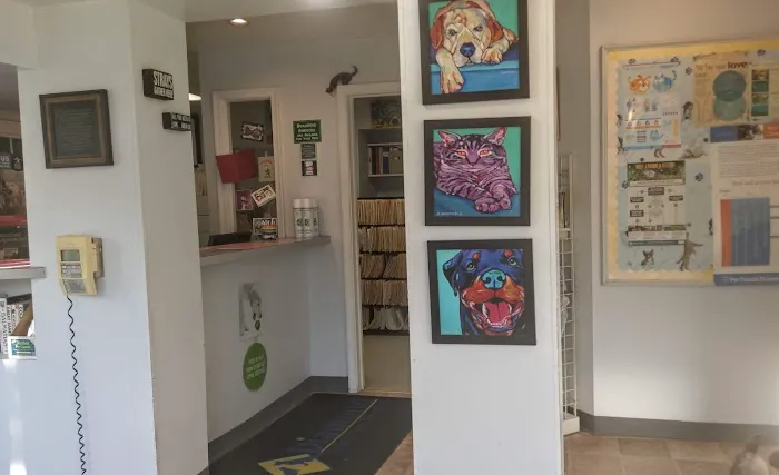 Diamond Veterinary Hospital 4